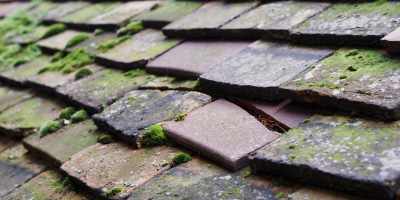 Mathern roof repair costs